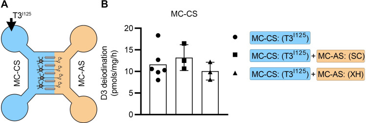 Figure 3—figure supplement 1.