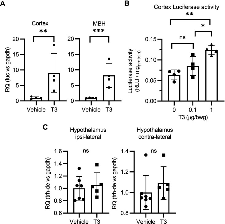 Figure 4—figure supplement 2.