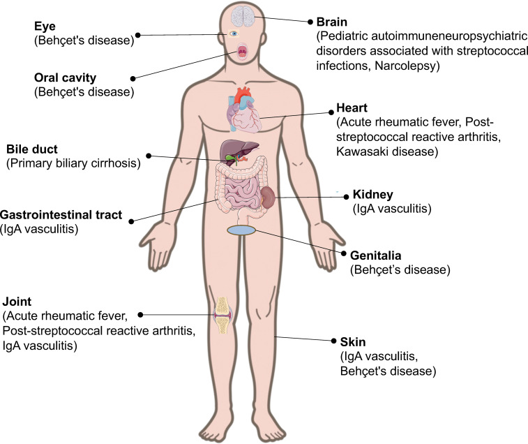 Figure 1