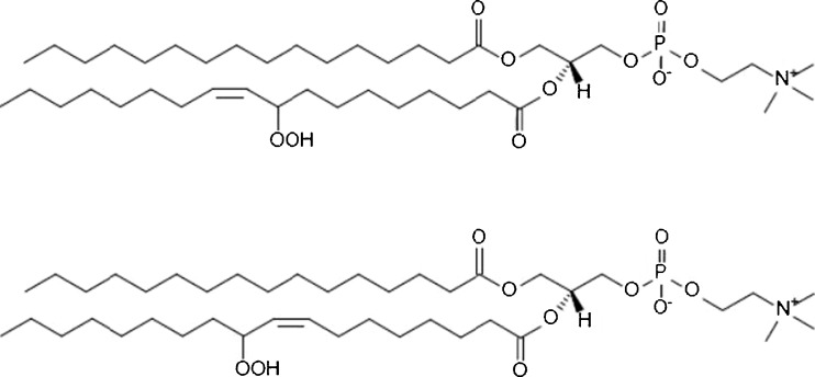 Fig. 5