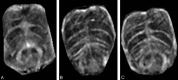 Fig 9.
