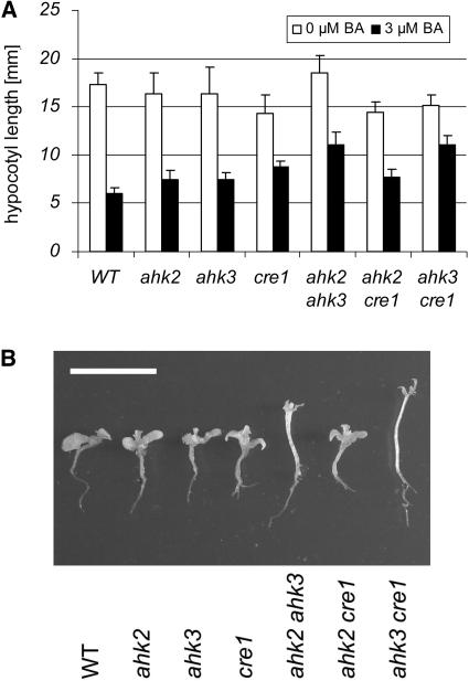 Figure 6.