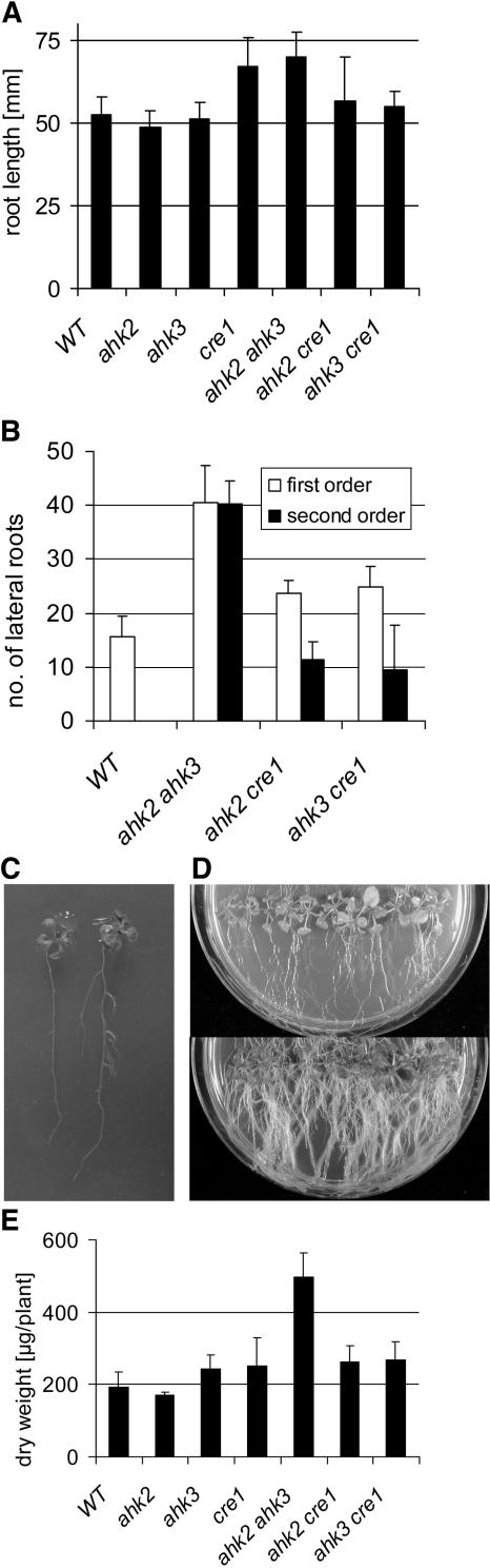 Figure 7.