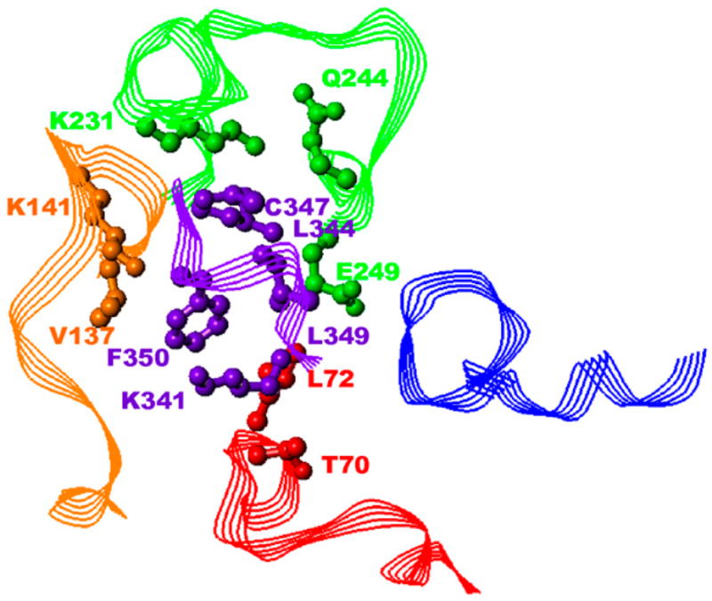 FIGURE 4