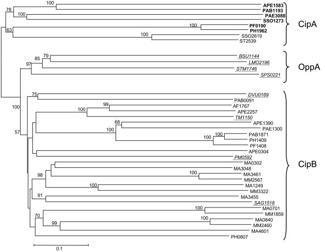 FIG. 7.