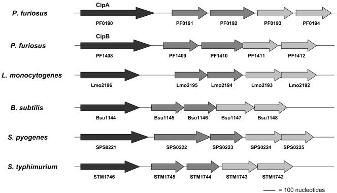 FIG. 6.