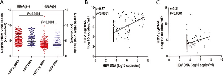 FIG 6