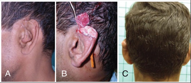 Figure 5)