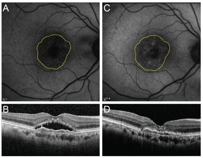 Fig. 3