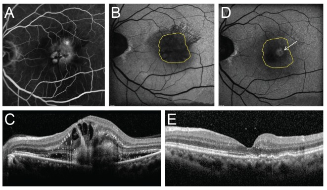 Fig. 4