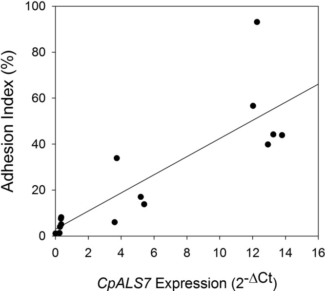 FIG 6