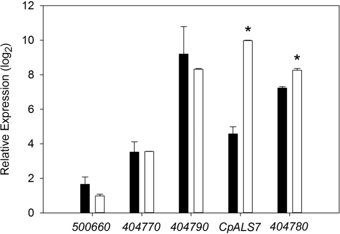 FIG 5