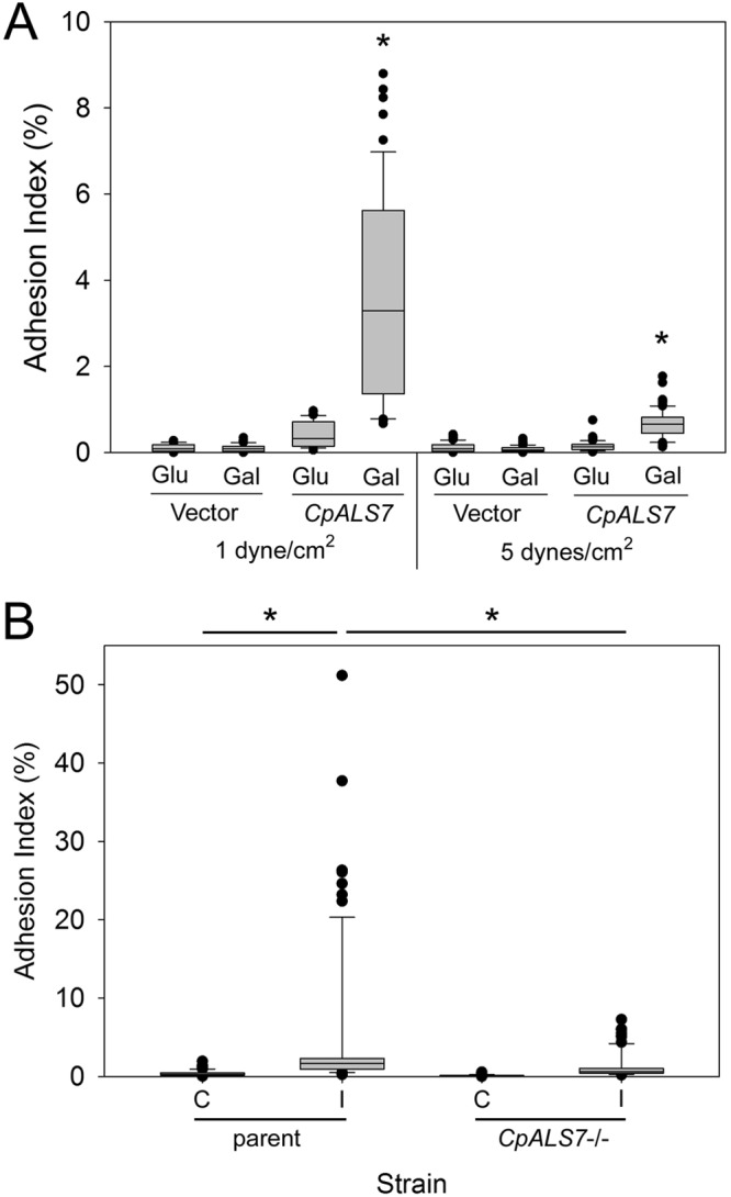 FIG 7