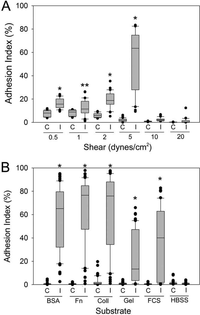 FIG 2