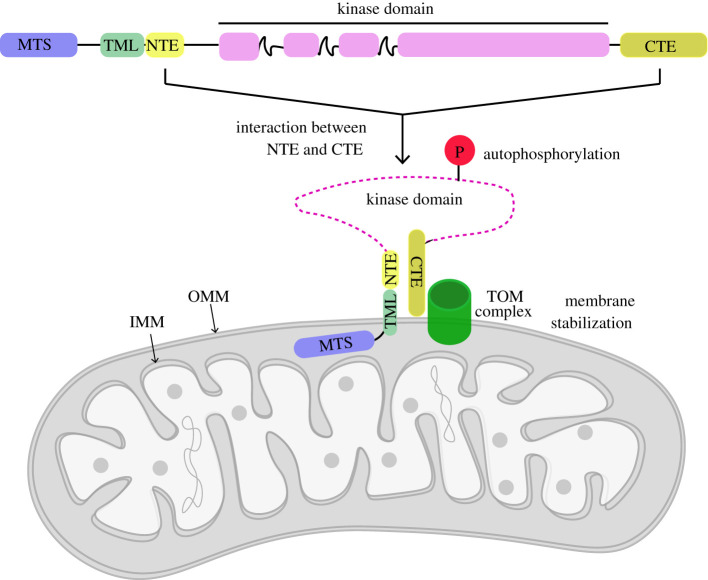 Figure 6. 