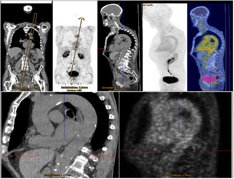 Figure 3