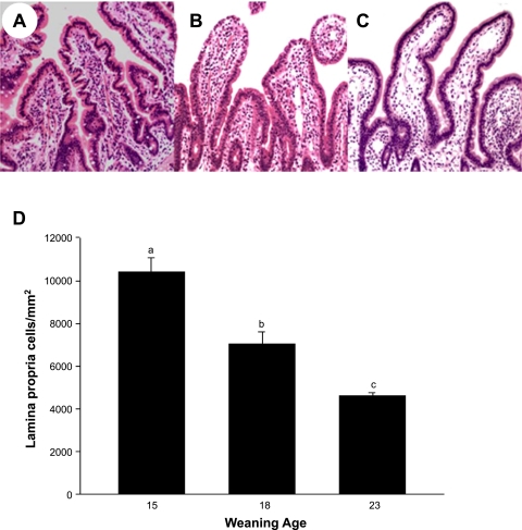 Fig. 5.