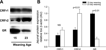 Fig. 11.