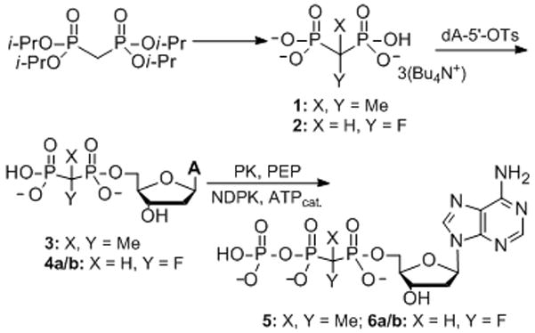 Scheme 1