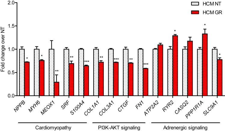 Figure 6