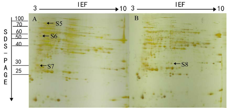 Fig.6