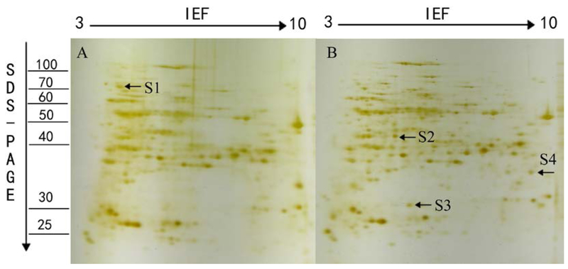 Fig.5