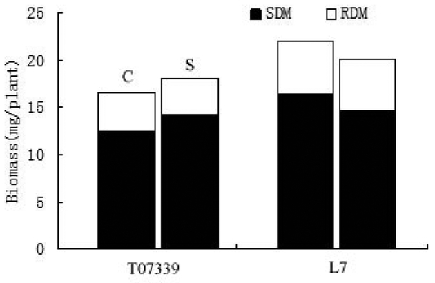 Fig.4.