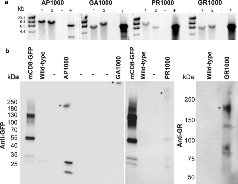 Fig. 1