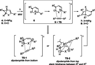 Scheme 4