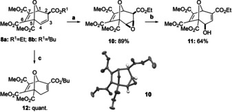 Scheme 5