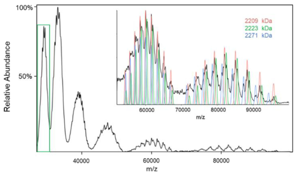 Figure 5.