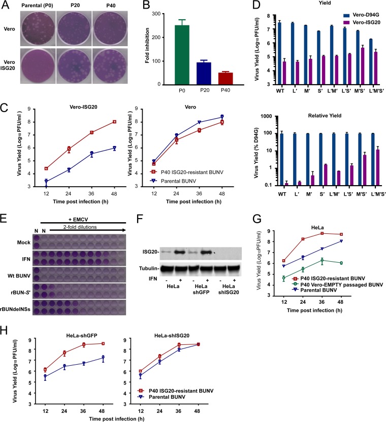 FIG 6