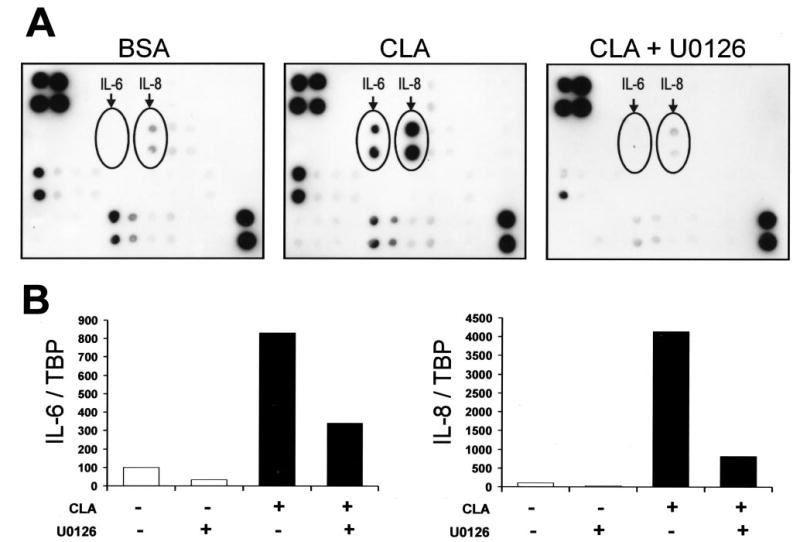 Fig. 9