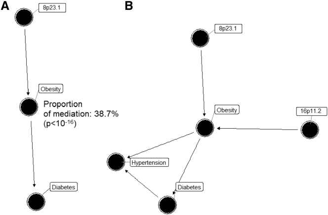 Figure 5