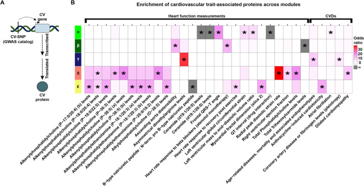 Figure 7: