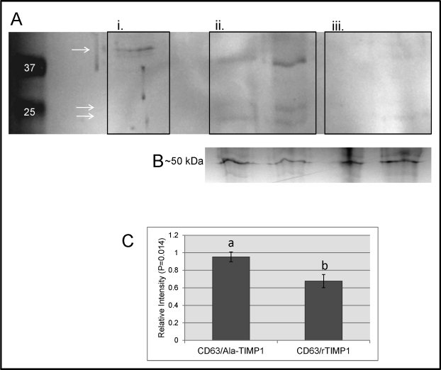 FIG. 5.