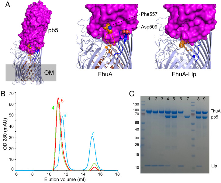 Fig. 4.