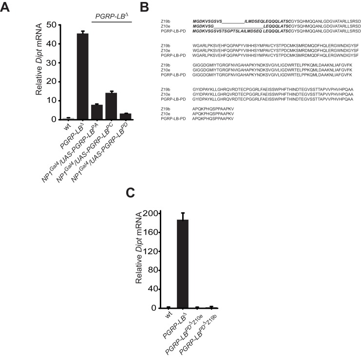 Figure 2—figure supplement 1.