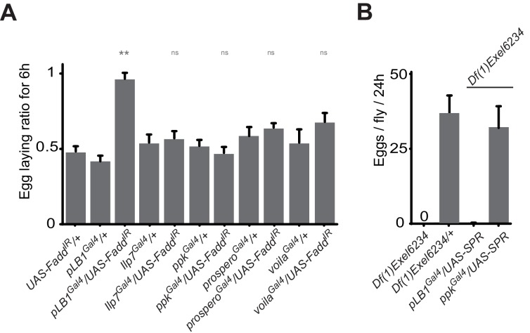 Figure 5—figure supplement 1.