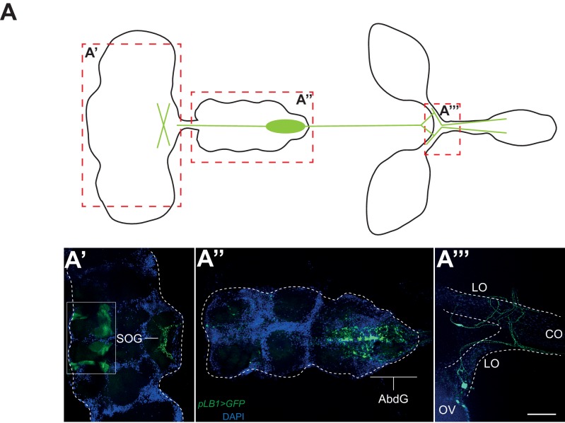 Figure 4.