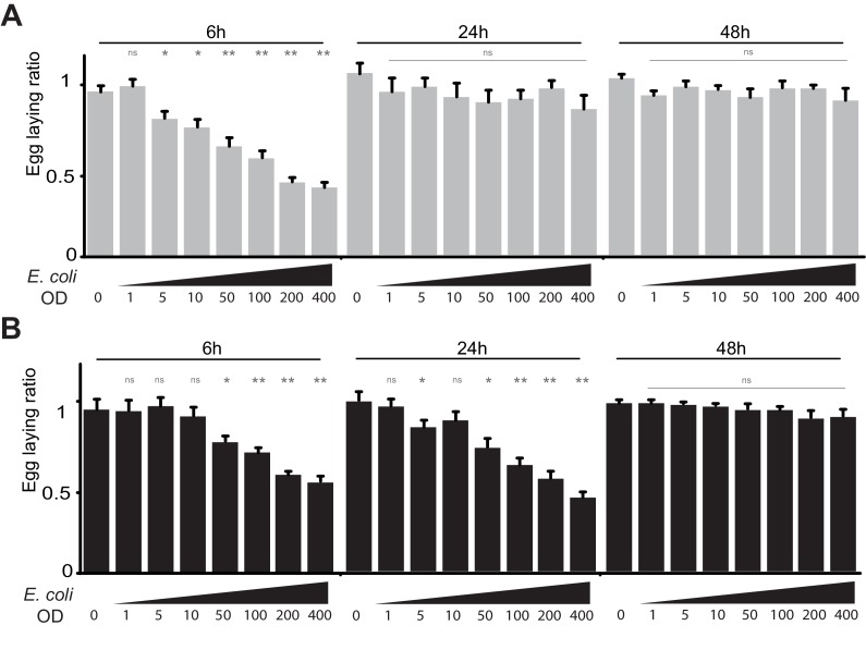 Figure 1—figure supplement 1.