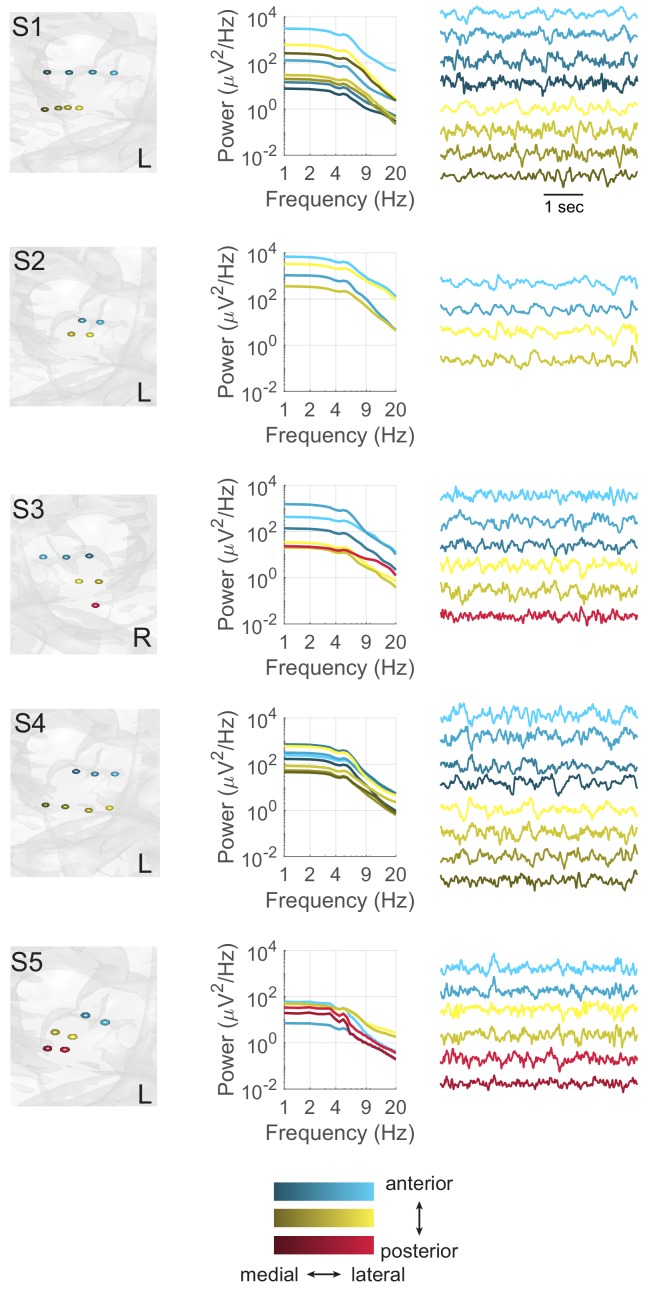 Figure 2—figure supplement 1.