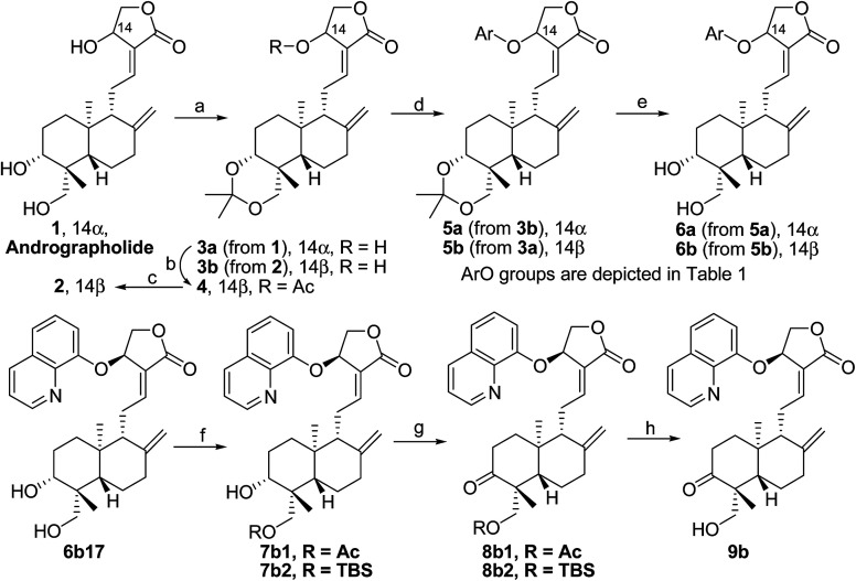 Scheme 1