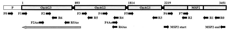 FIG. 1.