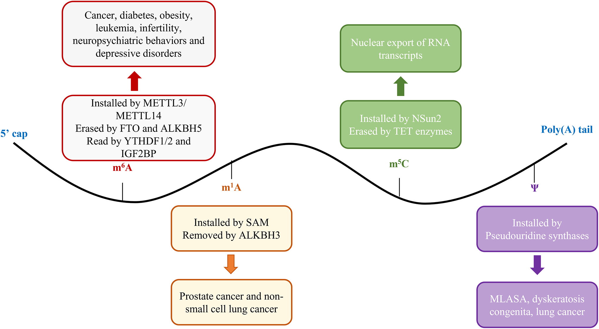 Figure 2: