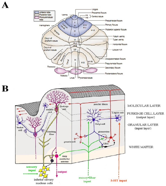 Figure 3.