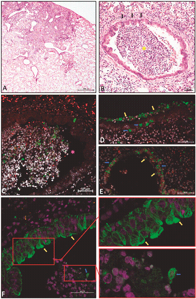 Fig. 3: