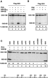 FIG. 1.