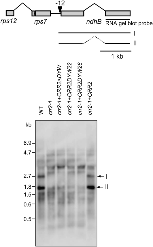 Figure 6.