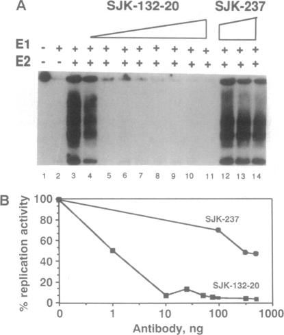 graphic file with name pnas01140-0403-a.jpg